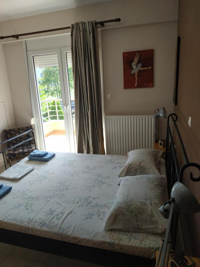 Διαμερισμα Στο Λιτοχωρο Με Εκπληκτικη Θεα Apartment Litochoron Bagian luar foto