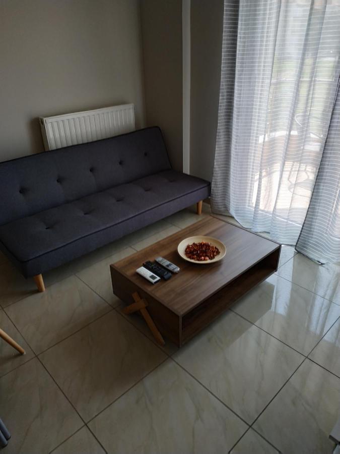 Διαμερισμα Στο Λιτοχωρο Με Εκπληκτικη Θεα Apartment Litochoron Bagian luar foto